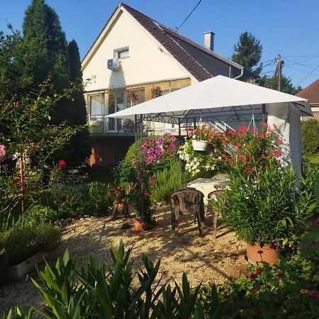 Ferienwohnung Naszaly Kapuja Vendeghaz Kosd Exterior foto